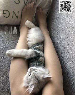 天美传媒在线