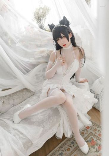 完美世界高清樱花动漫